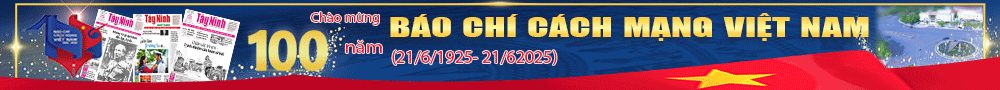 Báo chí Cách Mạng Việt Nam