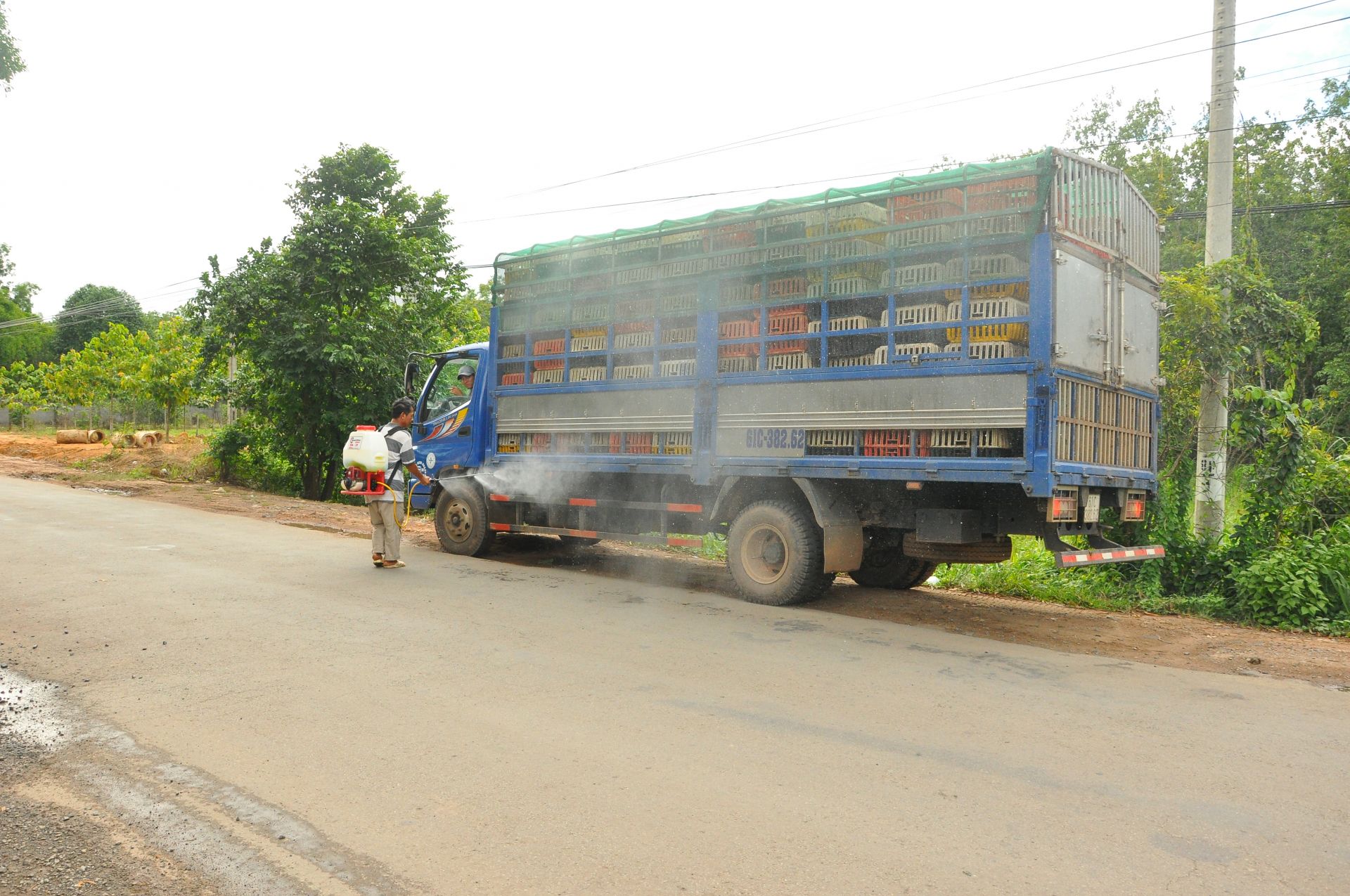 Bảo đảm an toàn dịch bệnh trên đàn vật nuôi