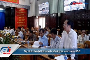 Tây Ninh công bố kết quả chỉ số năng lực cạnh tranh DDCI