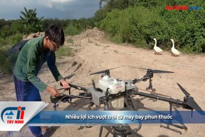 Nhiều lợi ích vượt trội từ máy bay phun thuốc